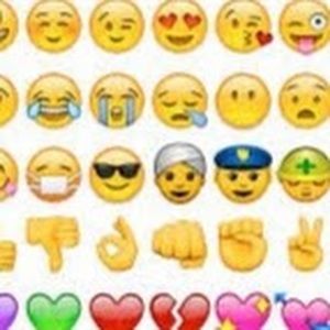 Meet your Posher, Ava